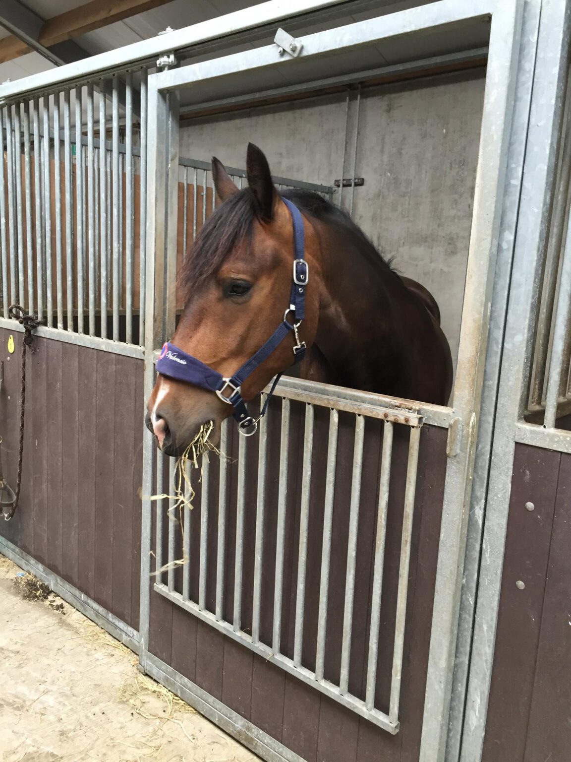 Over Paardenmelkerij De Lage Wierde